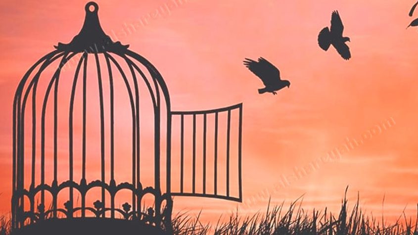 الحرية غاية كل انسان وطعمه في حياته